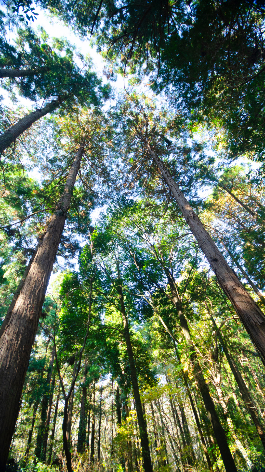 Ri-connettersi con la Natura: una pausa dalla frenesia quotidiana