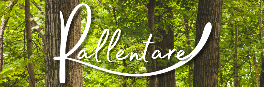 RALLENTARE – ritiro di Mindfulness e Connessione con la Natura